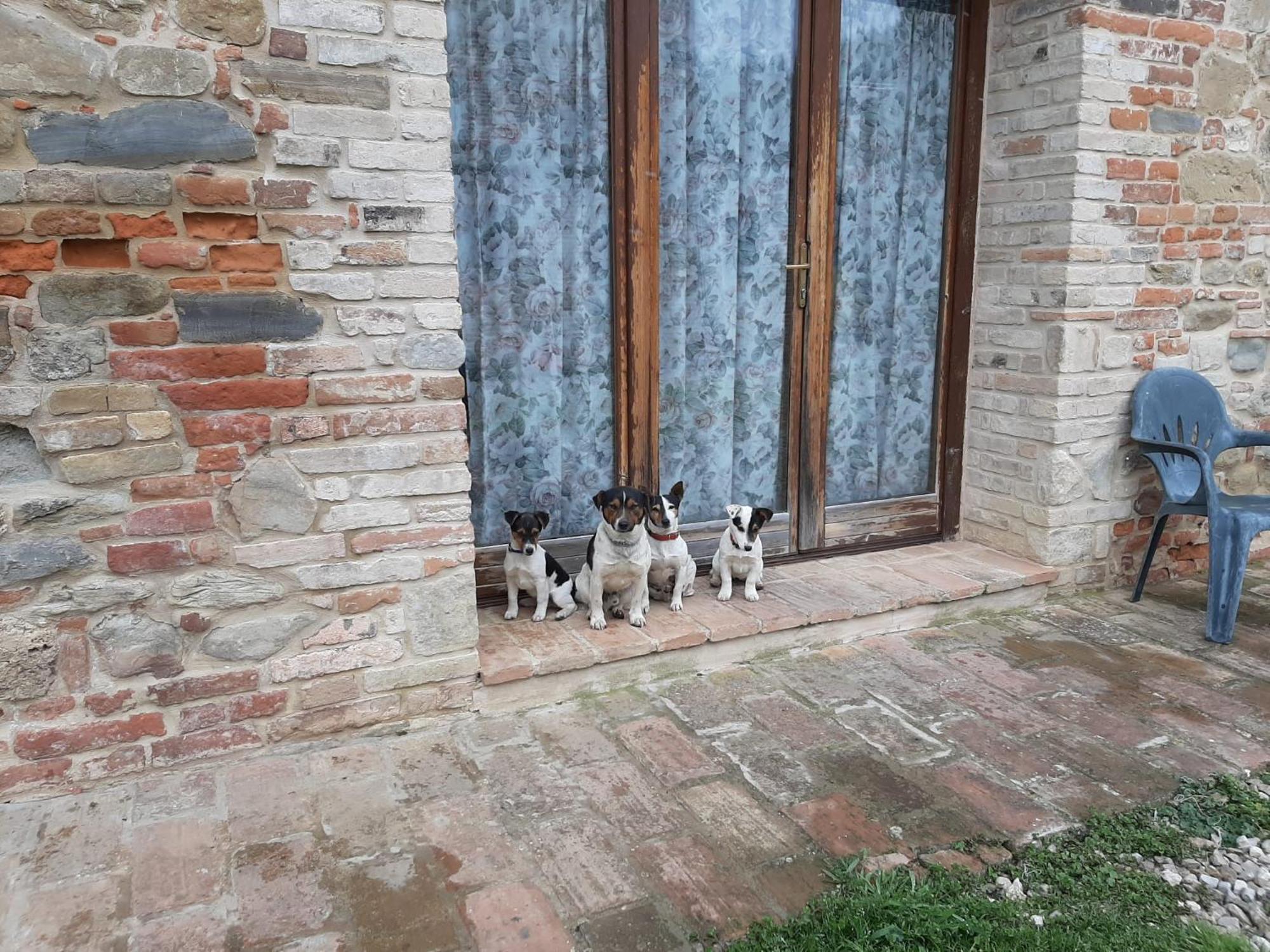Agriturismo Antica Corte Montatteglia 외부 사진